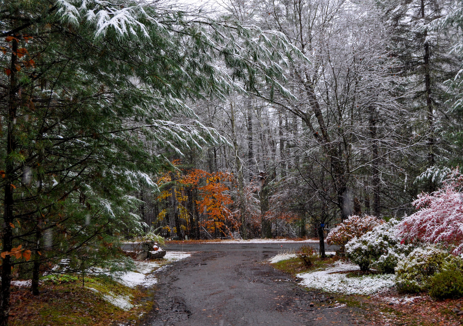 A light dusting of pre-Halloween snow is not unusual in the country.